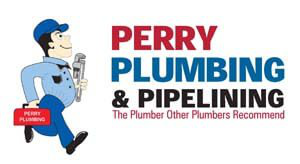 Perry Plumbing & Pipelining, CA 91950